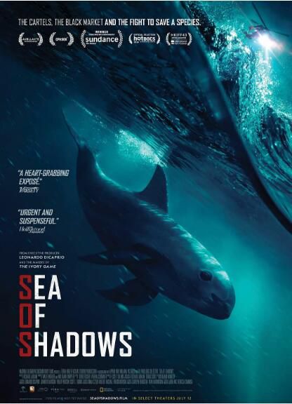 2019高分紀錄片《暗海/海豚守護戰》英語.中英雙字