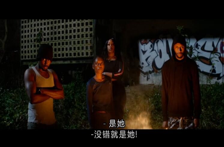 動作犯罪電影 藍與黑 原版DVD盒裝 英語DTS 中文字幕