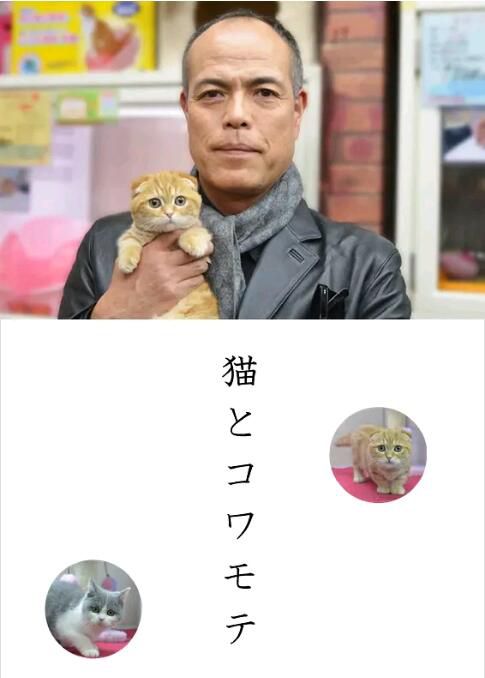 2016日劇SP 貓和兇相大叔 田中要次 日語中字