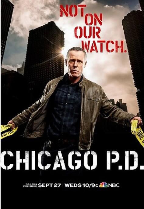 2017美劇 芝加哥警署/芝加哥警局 第五季 傑森·貝蓋 英語中字 4碟