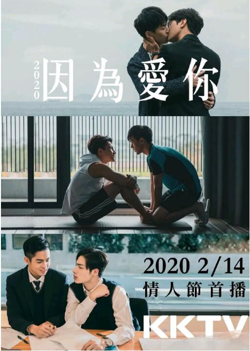 2020同性台劇《2020因為愛你/因為愛你2020》李時剛/張又瑋 全10集 高清國語中字 盒裝1碟