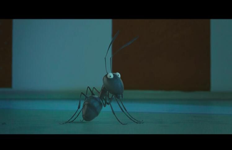法國動畫電影 昆蟲總動員2小甲蟲歷險記 原版高清DVD盒裝中文字幕