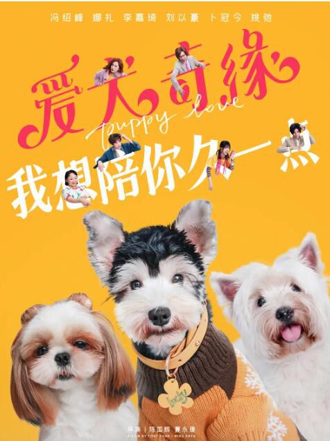 2023大陸電影《愛犬奇緣/Puppy Love》馮紹峰/古力娜紮 國語中字 盒裝1碟