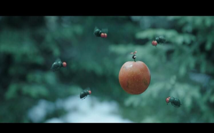 法國動畫電影 昆蟲總動員2小甲蟲歷險記 原版高清DVD盒裝中文字幕