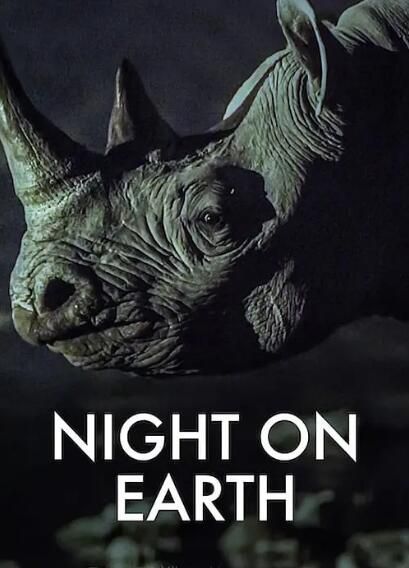 2020高分紀錄片《地球的夜晚/夜訪地球》.英語中英雙字