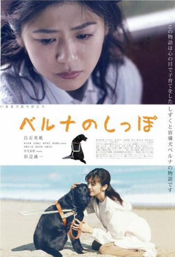 電影 貝魯娜的尾巴 日本又一部感人的導盲犬電影 DVD收藏版