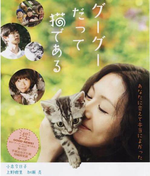 2008日本高分劇情《咕咕是一只貓/貓貓向前沖/貓咪咕咕》.日語中字
