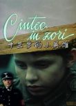1988戰爭電影 十三歲的小英雄 國語無字幕 懷舊錄像版 二戰/山之戰/間諜戰/ DVD