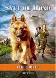 2008荷蘭電影 戰時史尼弗/戰時義犬/史魯弗 二戰/ DVD