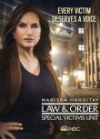 2020新美國罪案劇DVD：法律與秩序 特殊受害者 第二十二季 第22季 2碟