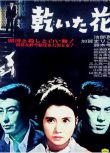 1964年經典犯罪驚悚片DVD：蒼白的花/幹花【池部良/加賀麻裏子】