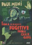 [1932電影]我是越獄犯 亡命者/我是越獄犯 / 逃亡 DVD
