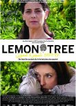 [歐美08最新高分劇情][檸檬樹/ Lemon Tree]希安阿巴斯 DVD 希伯來語中字
