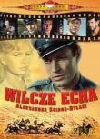 1965波蘭電影 穿警服的匪幫 修復版 二戰/山之戰/國語無字幕 DVD