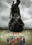 2014高分戰爭紀錄片《維龍加/Virunga》.英語中文字幕