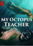 2020高分紀錄片《我的章魚老師》.英語中英雙字