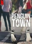 2021高分紀錄片《企鵝小鎮》全8集.英語中字　2碟