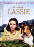1946美國電影 靈犬和凱茜 國語無字幕 DVD